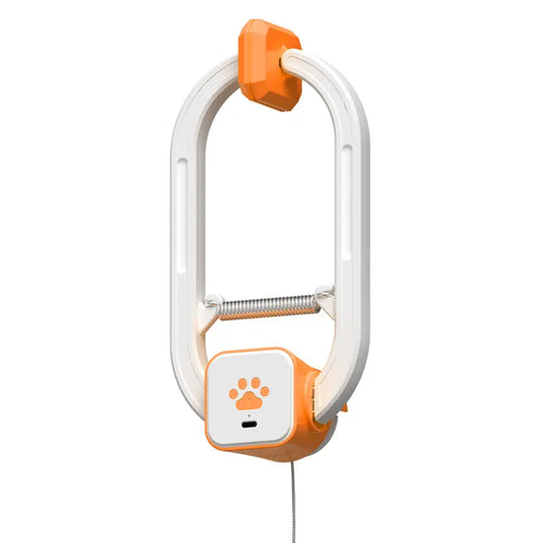 Your Cat’s New Best Friend. Your Hands’ New Freedom