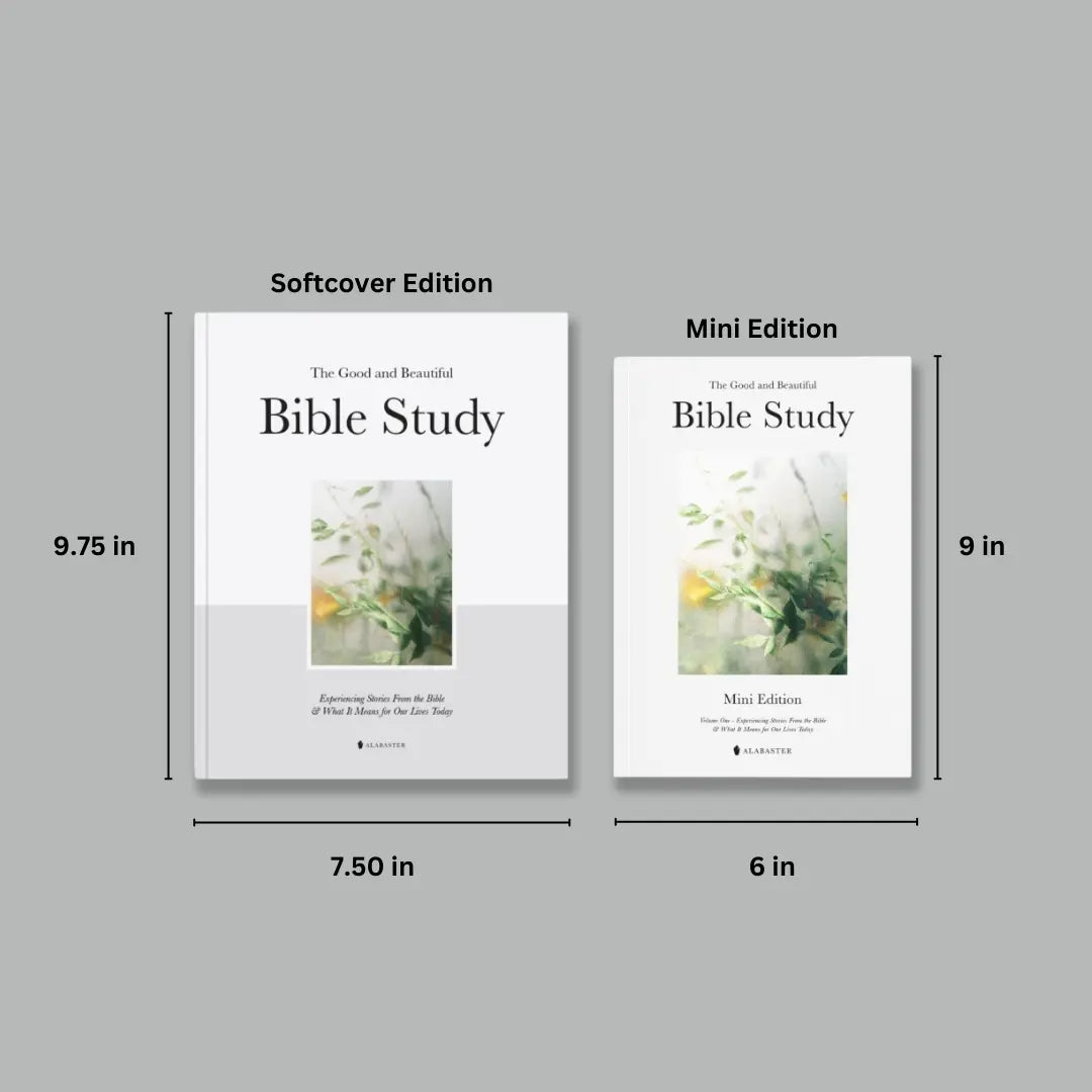 Alabaster The Good and Beautiful Bible Study Volume 1