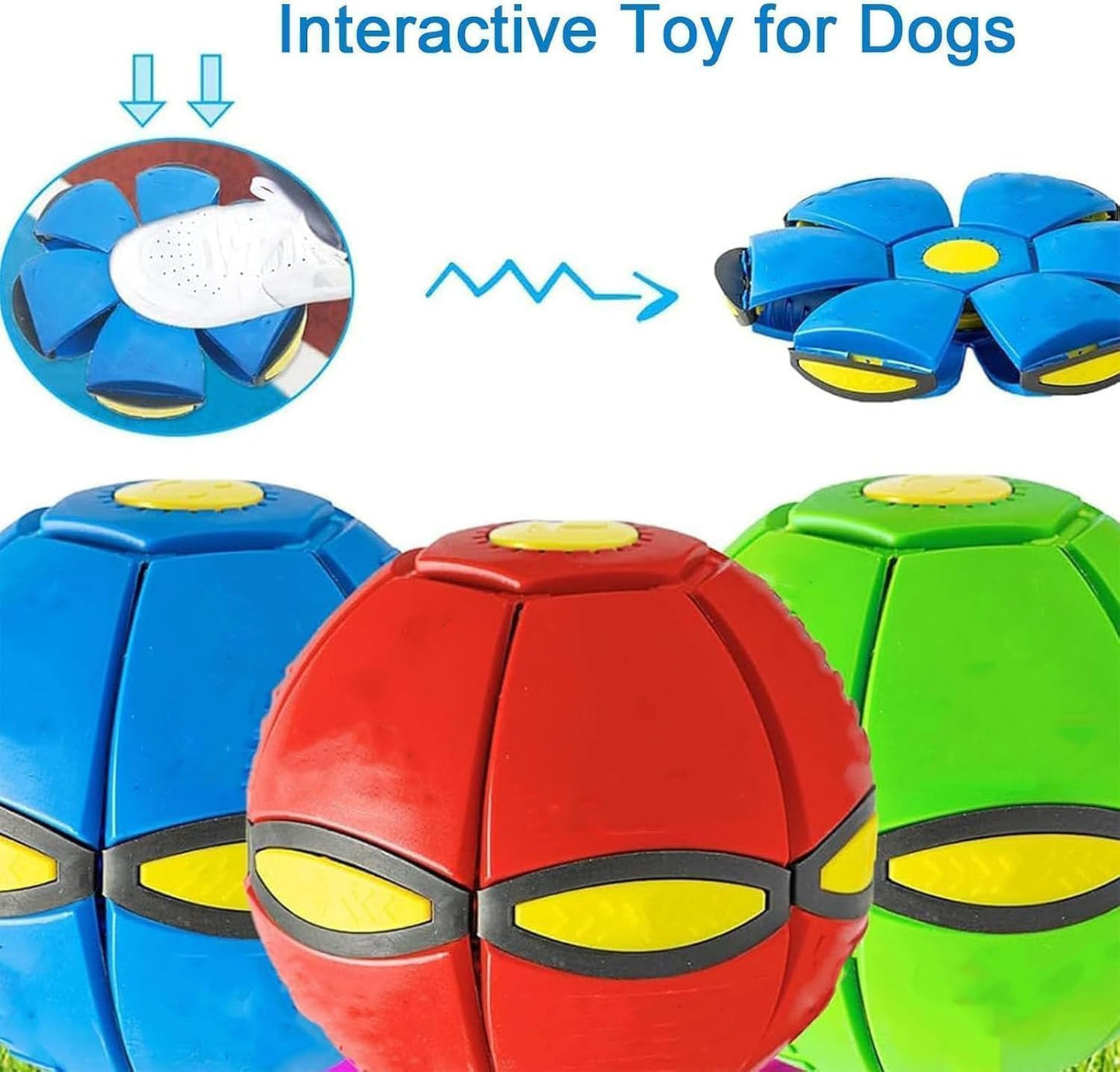 Epic Outdoor Fun for the Whole Family