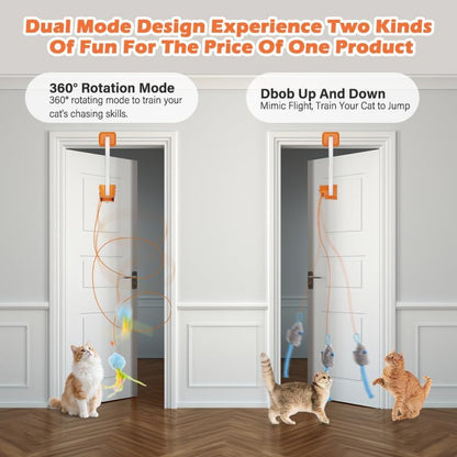 Your Cat’s New Best Friend. Your Hands’ New Freedom