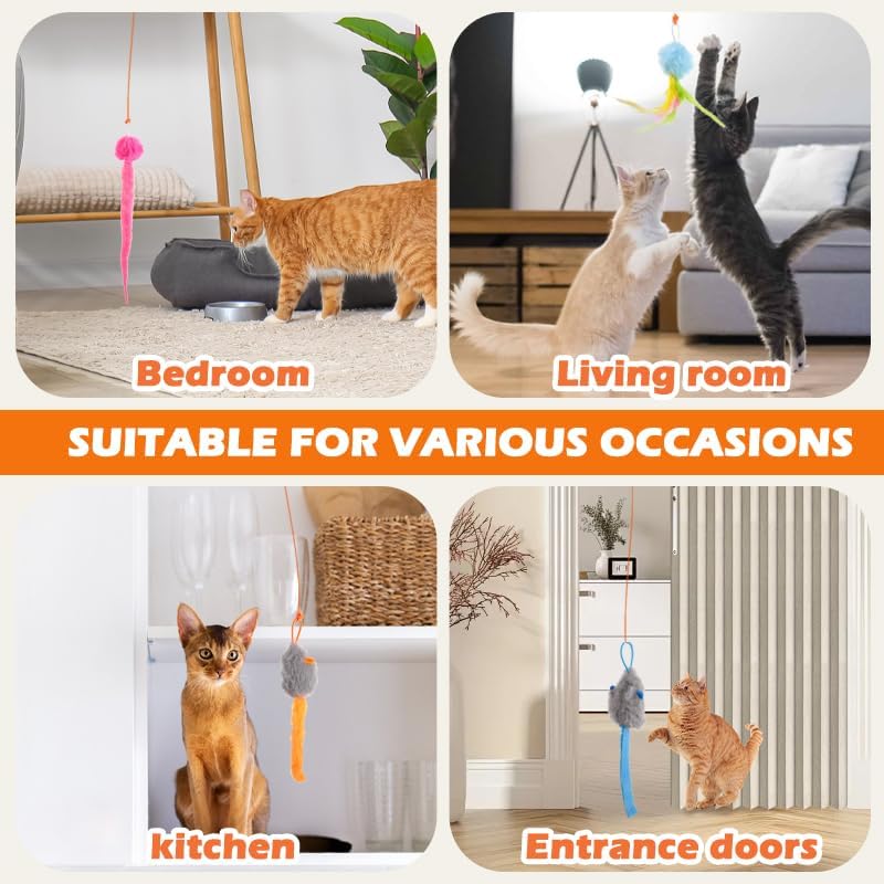 Your Cat’s New Best Friend. Your Hands’ New Freedom