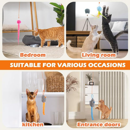 Your Cat’s New Best Friend. Your Hands’ New Freedom
