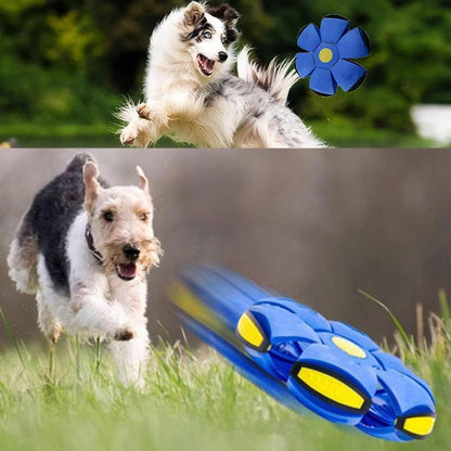 Epic Outdoor Fun for the Whole Family