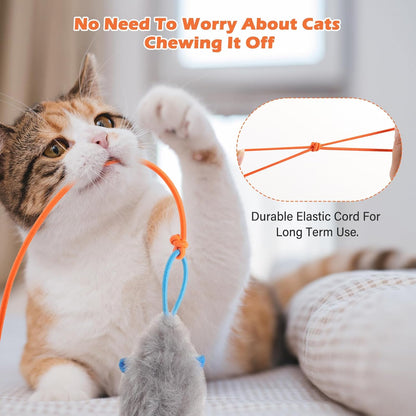 Your Cat’s New Best Friend. Your Hands’ New Freedom