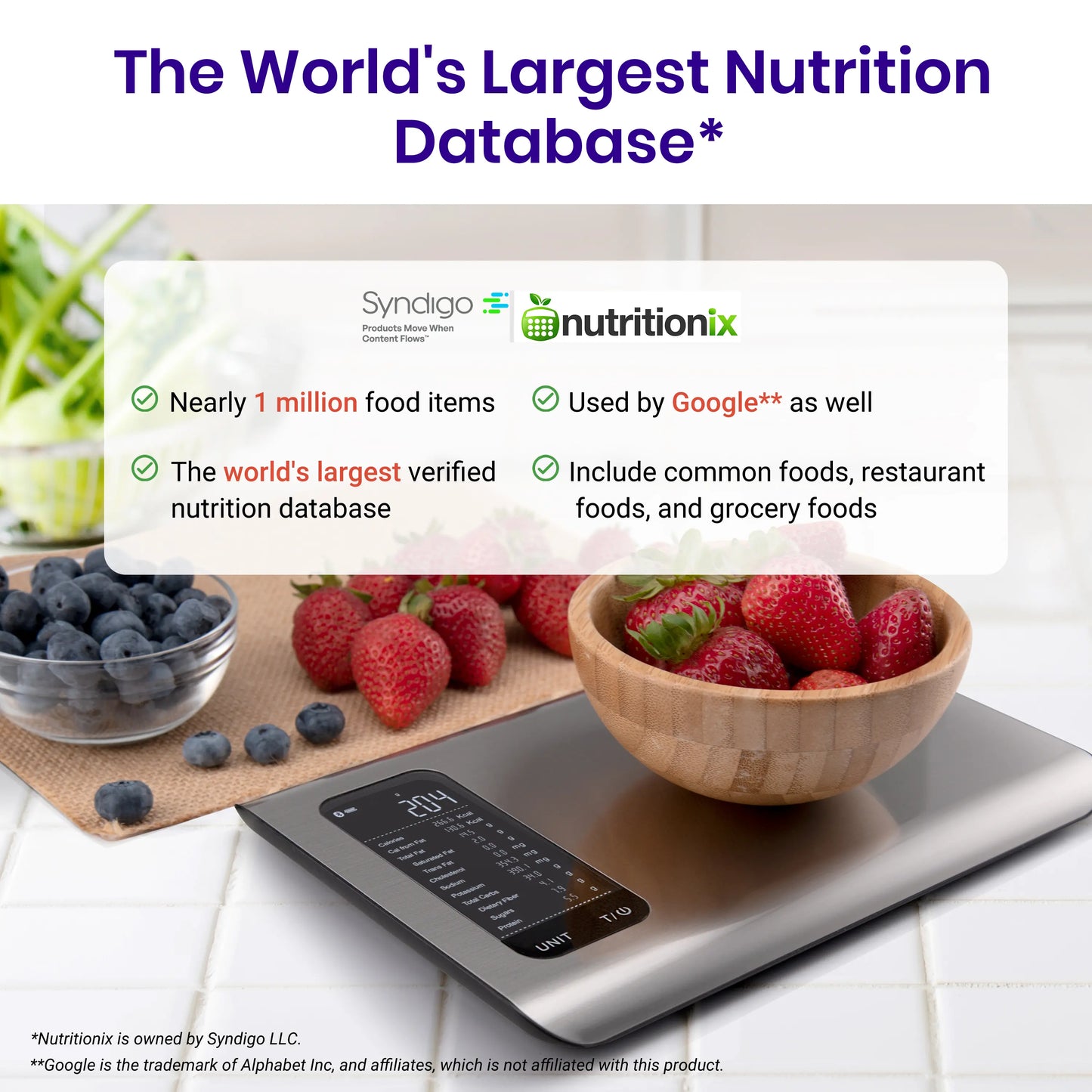 Etekcity ESN00 AI Smart Food Scale
