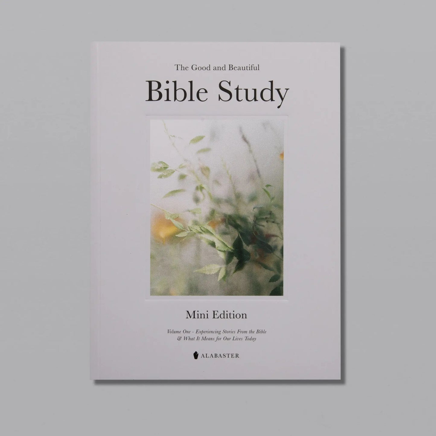 Alabaster The Good and Beautiful Bible Study Volume 1